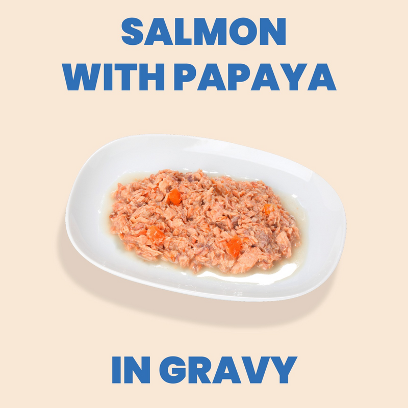 Canned Cat Food - Complete HQS - Salmon Recipe with Papaya in Gravy - Adult