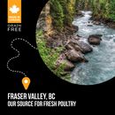 Dry Cat Food - SubZero - Fraser Valley