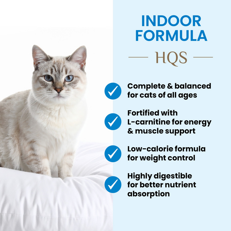 Canned Cat Food - Supportive Formulas HQS - Indoor Formula - Chicken Recipe in Gravy - Adult