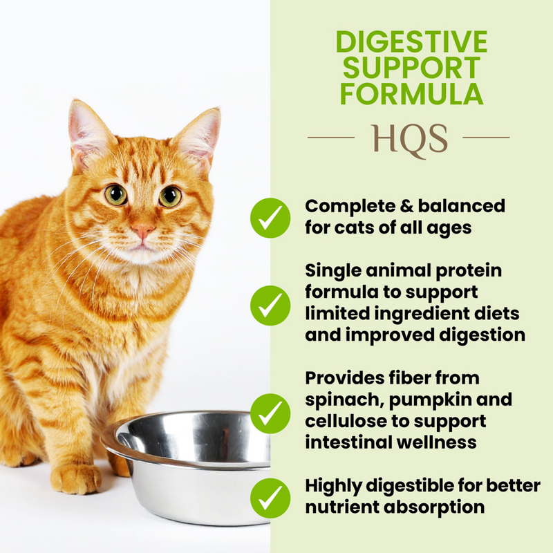 Canned Cat Food - Supportive Formulas HQS - Digestive Support Formula - Chicken Recipe with Pumpkin in Gravy - Adult