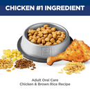 Dry Cat Food - Oral Care ADULT - Chicken Recipe