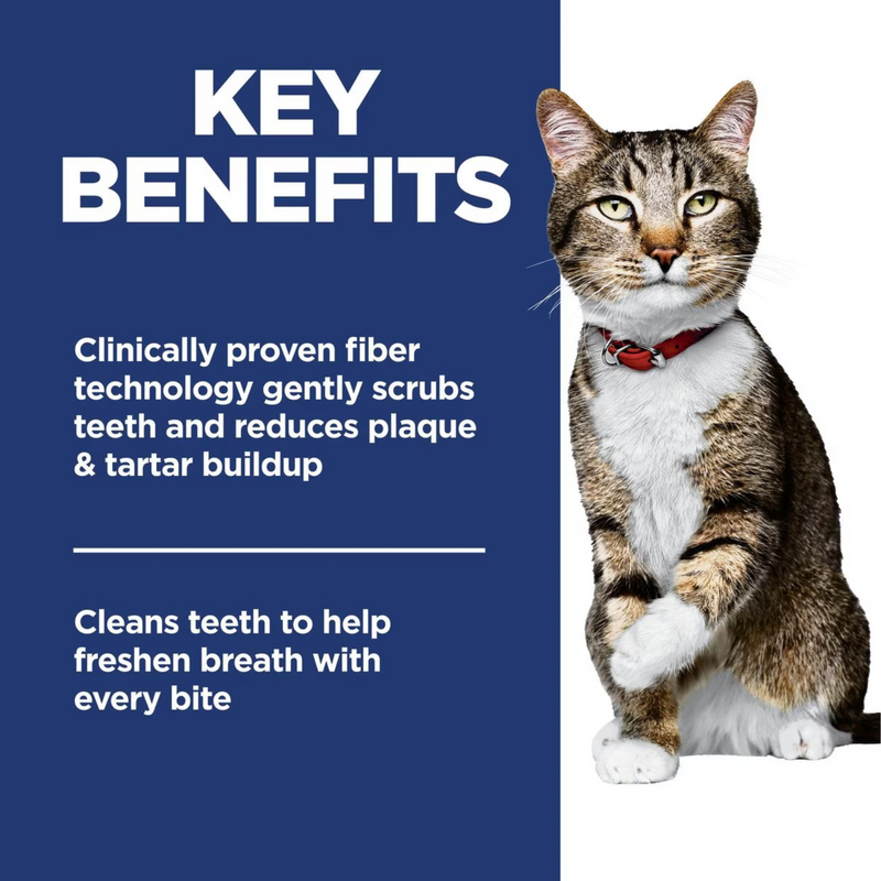 Dry Cat Food - Oral Care ADULT - Chicken Recipe