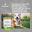 Supplément de chien - Hip & Joint Health - Flaxeed, Hoki & New Zealand Green Moule Huile - 5.9 FL OZ