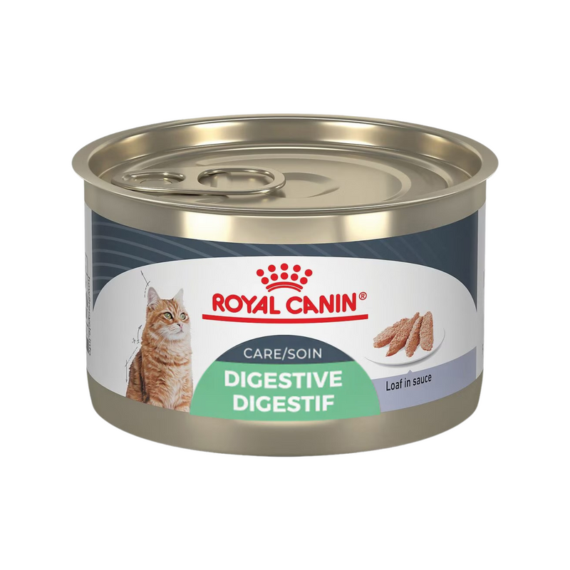 猫罐头 - 敏感肠胃