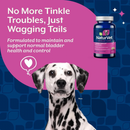 Dog Supplement - Bladder Support Chewable Tablets