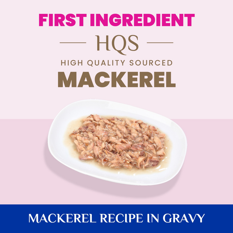 Canned Cat Food - Supportive Formulas HQS - Skin & Coat Support Formula - Mackerel Recipe in Gravy - Adult