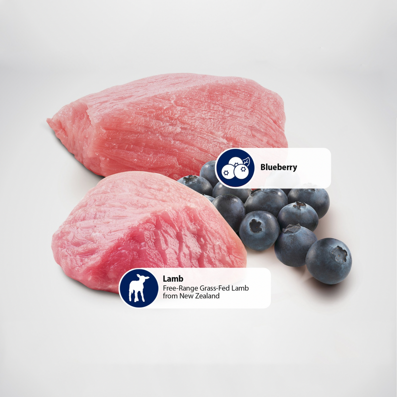 Dry Cat Food - N & D - PRIME - Lamb & Blueberry - Adult