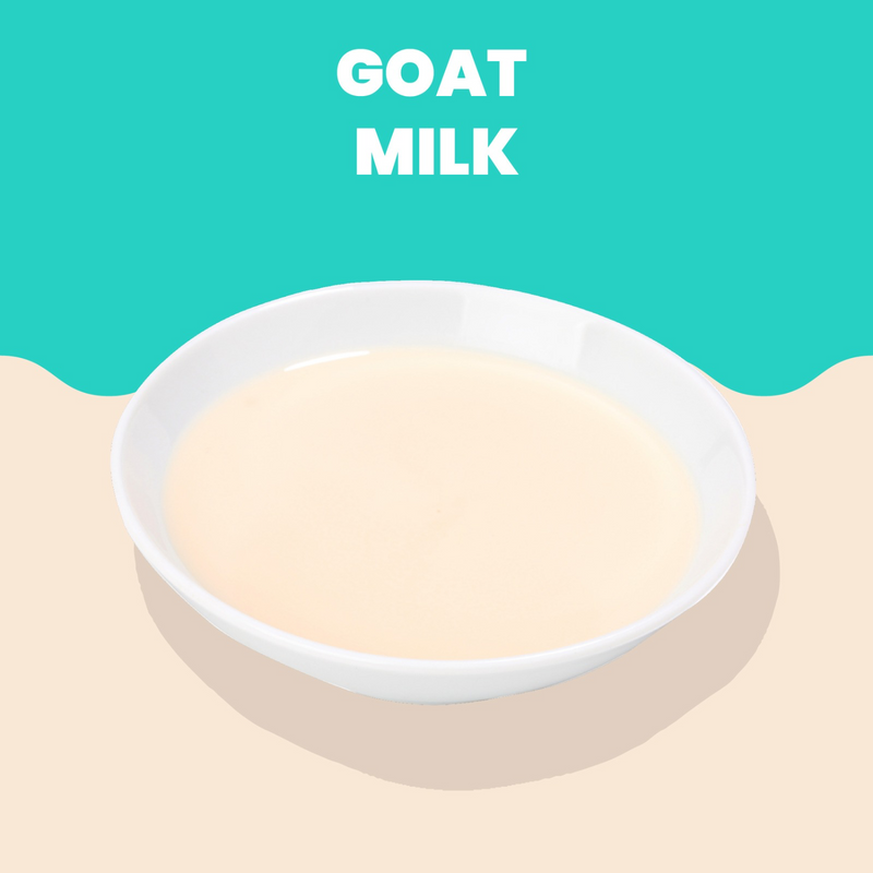 成年猫湿粮零食 - Hydration Help HQS - 山羊奶配方 - 50克妙鲜包