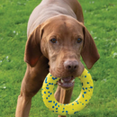 Dog Toy - NITRO - Ring