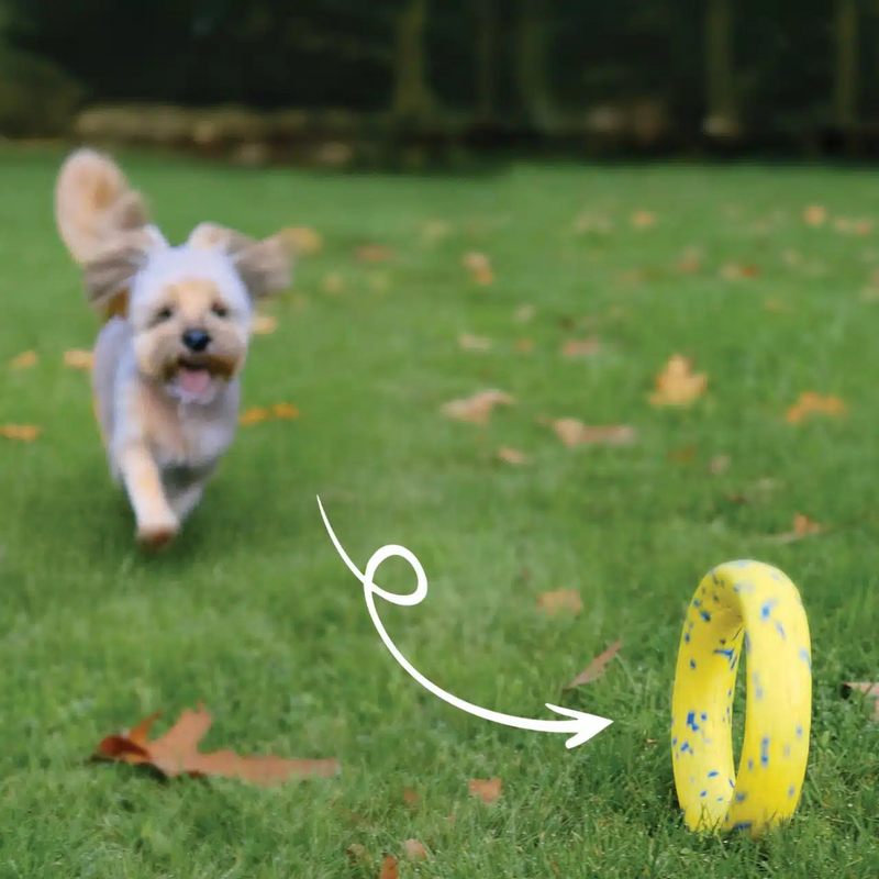 Dog Toy - NITRO - Ring with Rubber Core