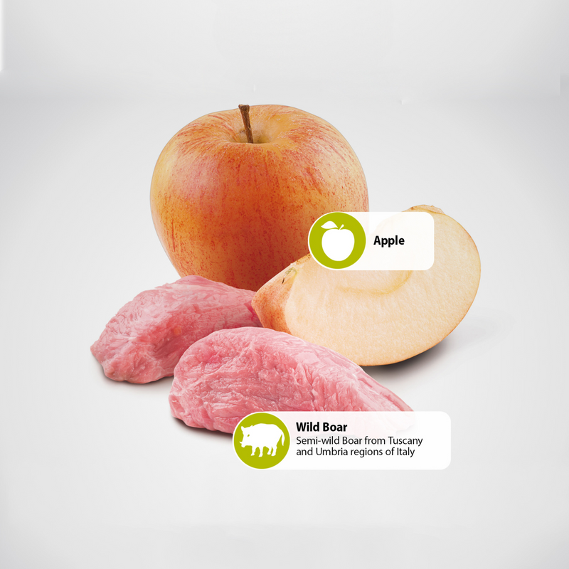 Dry Cat Food - N & D - PRIME - Boar & Apple - Adult