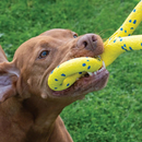 Dog Toy - NITRO - Tugger