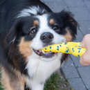 Dog Toy - NITRO - Tugger