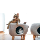 Piggy Cat Cave & Ottoman