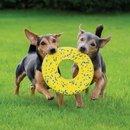 Dog Toy - NITRO - Disc