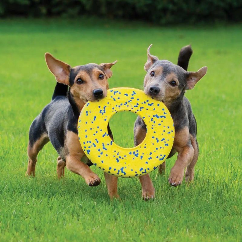 Dog Toy - NITRO - Disc