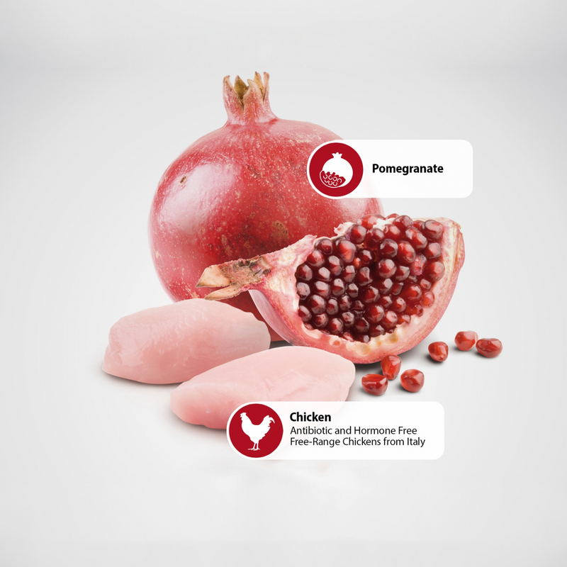 Canned Cat Food - N & D - PRIME - Chicken & Pomegranate - Kitten