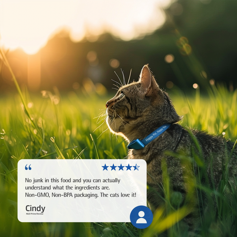 Canned Cat Food - N & D - PRIME - Chicken & Pomegranate - Kitten