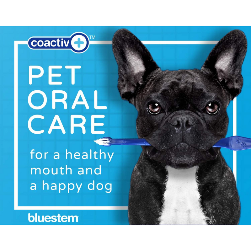 牙膏 - 鸡肉味 - 70克