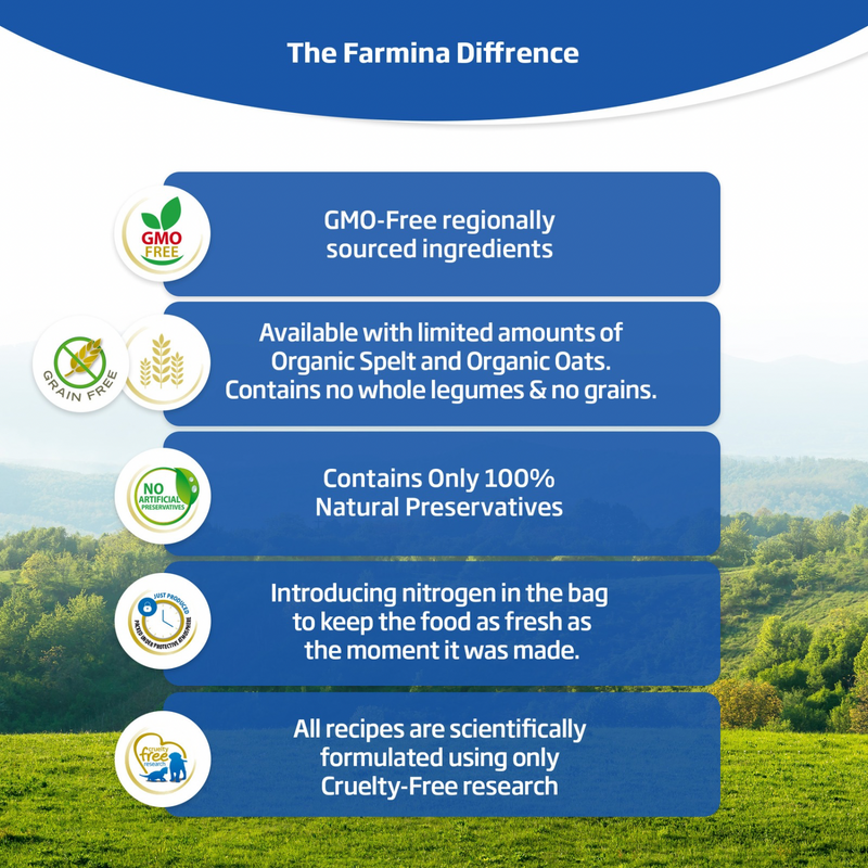 猫干粮 - N & D - 海洋 - 鲱鱼，南瓜 & 橙子 - 成年猫