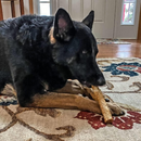 Dog Chews - Nothin' to Hide - Peanut Butter Roll 10" - 2 pk