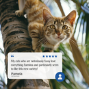 Dry Cat Food - N & D - TROPICAL SELECTION - Chicken, Spelt, Oats & Tropical Fruits - Adult