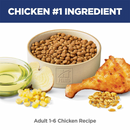Dry Cat Food, Adult 1-6, Chicken Recipe