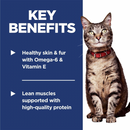 Dry Cat Food, Adult 1-6, Chicken Recipe