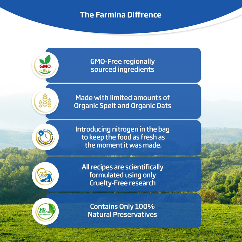 Dry Cat Food - N & D - PUMPKIN - Venison, Pumpkin & Apple - Adult