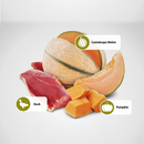 Dry Cat Food - N & D - PUMPKIN - Duck, Pumpkin & Cantaloupe Melon - Adult