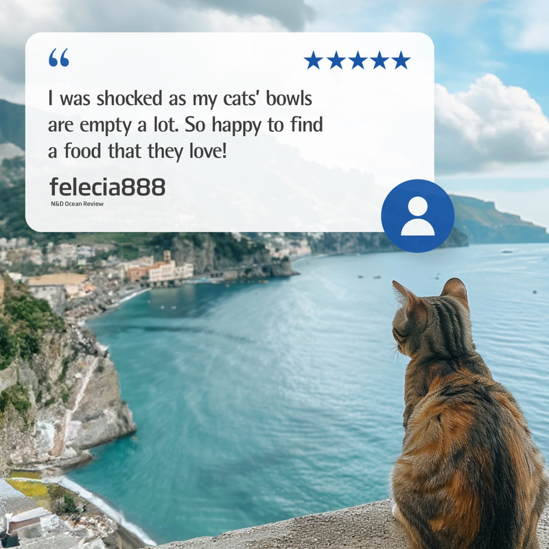 幼猫罐头 - N & D - 海洋 - 鳕鱼大虾炖南瓜