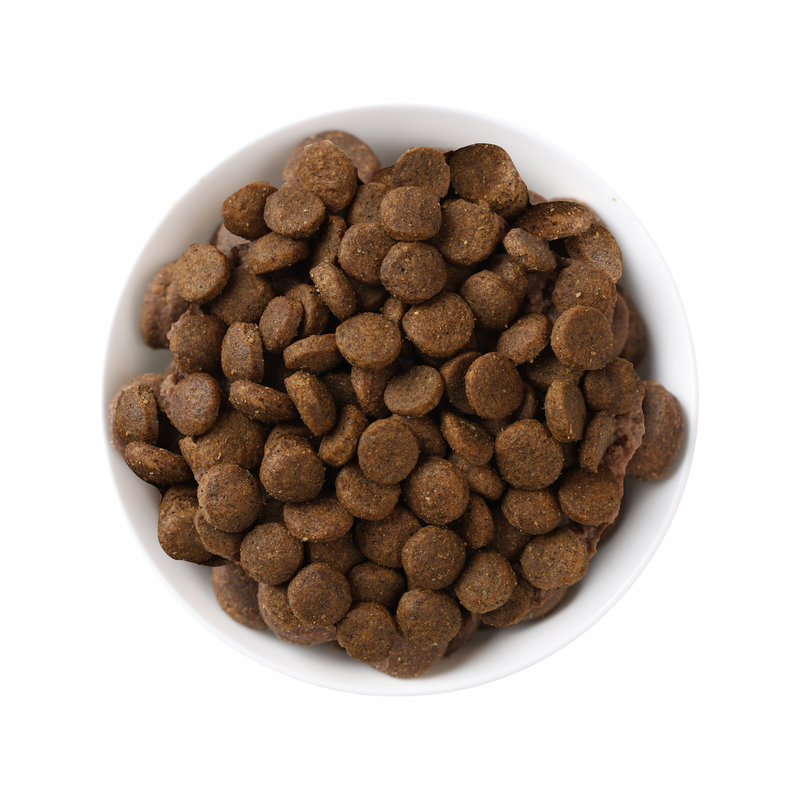 Dry Cat Food - N & D - PUMPKIN - Venison, Pumpkin & Apple - Adult