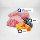 猫干粮 - N & D - 南瓜 - 羊肉，南瓜 & 蓝莓 - 绝育成年猫