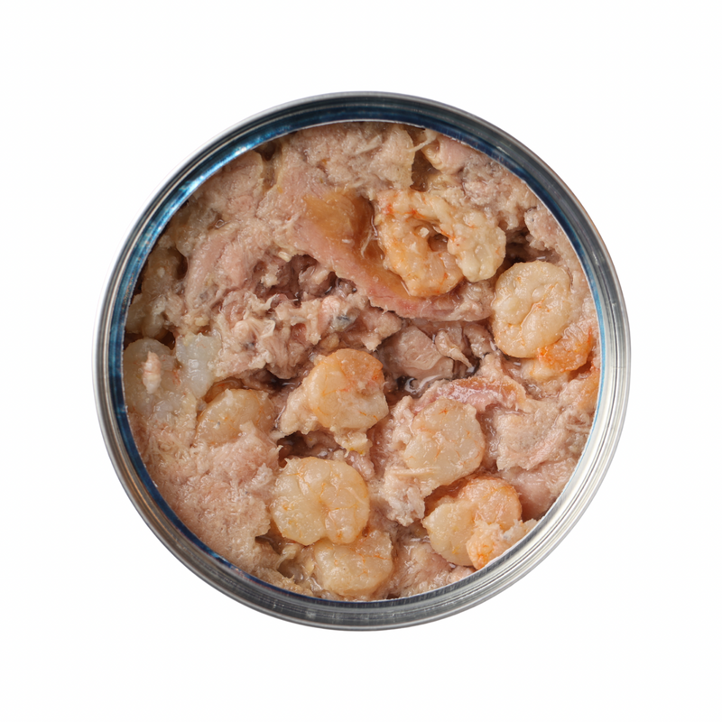 成年猫罐头 - N & D - 海洋 - 鳟鱼三文鱼炖大虾