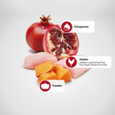 Dry Dog Food - N & D - PUMPKIN - Chicken & Pomegranate - Puppy Mini