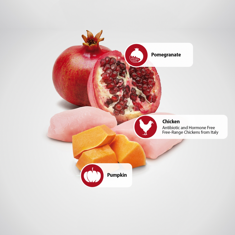 Dry Dog Food - N & D - PUMPKIN - Chicken & Pomegranate - Puppy Mini