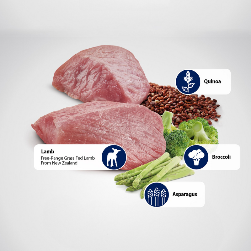 Dry Cat Food - N & D - QUINOA - Weight Management - Lamb - Adult