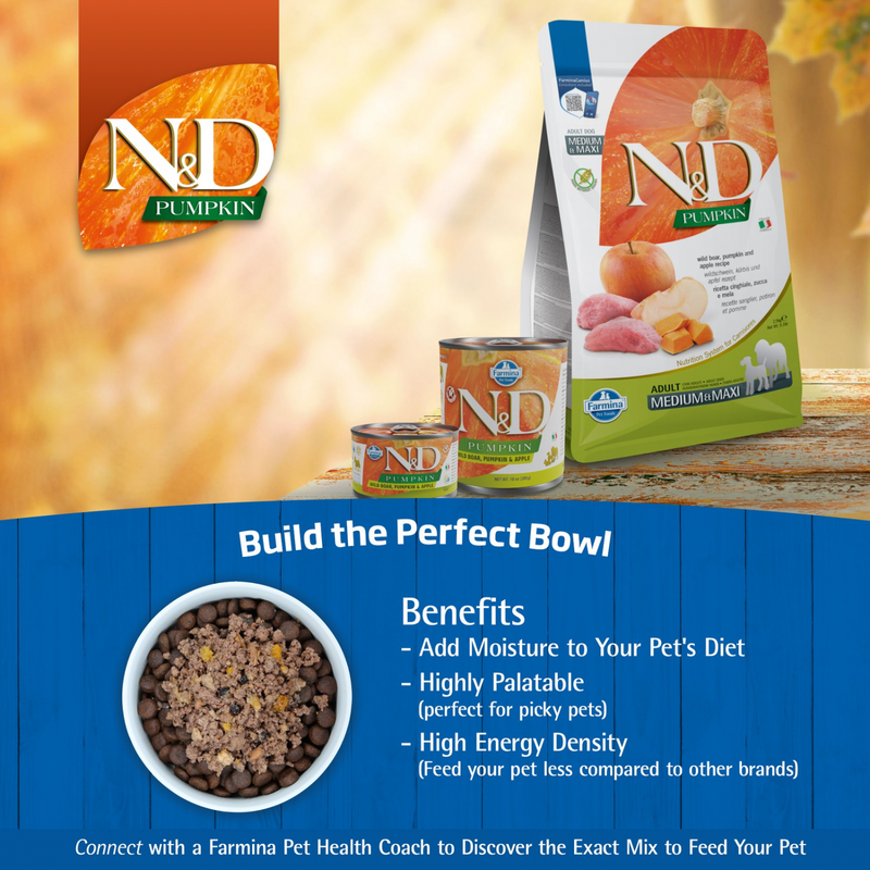 Dry Dog Food - N & D - PUMPKIN - Boar & Apple - Adult Mini