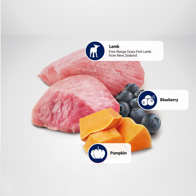 Dry Dog Food - N & D - PUMPKIN - Lamb & Blueberry - Puppy Medium & Maxi