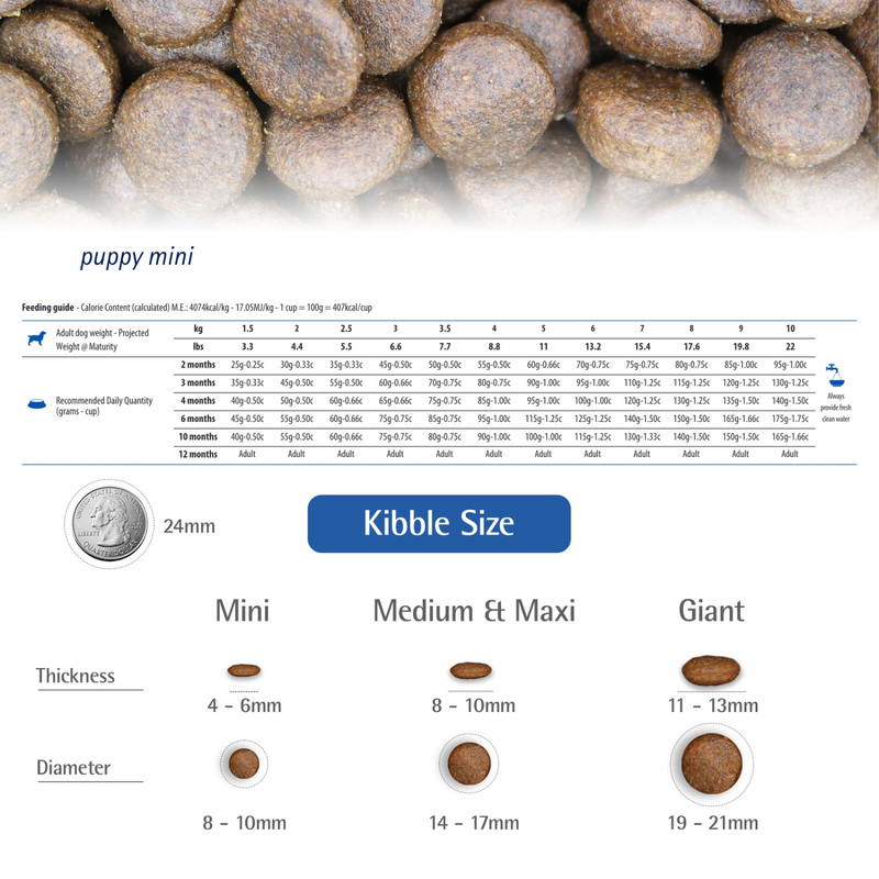 Aliments pour chiens sèches - N & D - Citrouille - Lamb & Blueberry - Puppy Mini