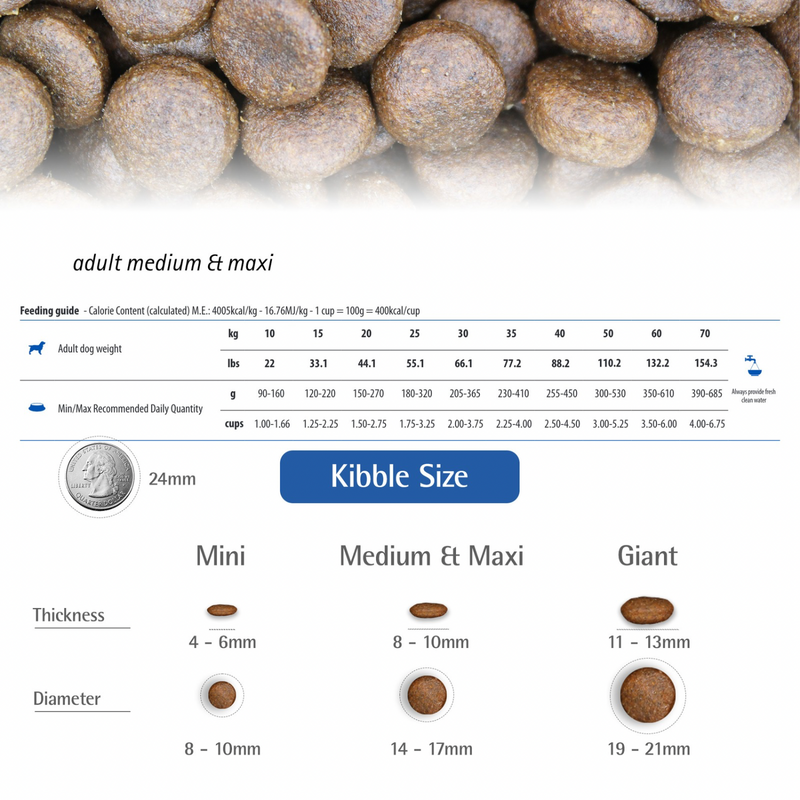 Dry Dog Food - N & D - PUMPKIN - Boar & Apple - Adult Medium & Maxi