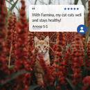 猫罐头 - N & D - 藜麦 - 泌尿系统 - 鸭肉 - 2.8 盎司