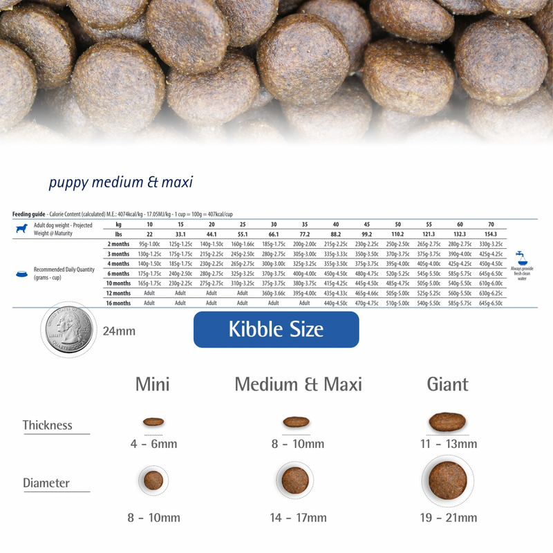 Dry Dog Food - N & D - PUMPKIN - Lamb & Blueberry - Puppy Medium & Maxi