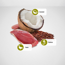 Canned Cat Food - N & D - Quinoa - Skin & Coat - Duck & Coconut