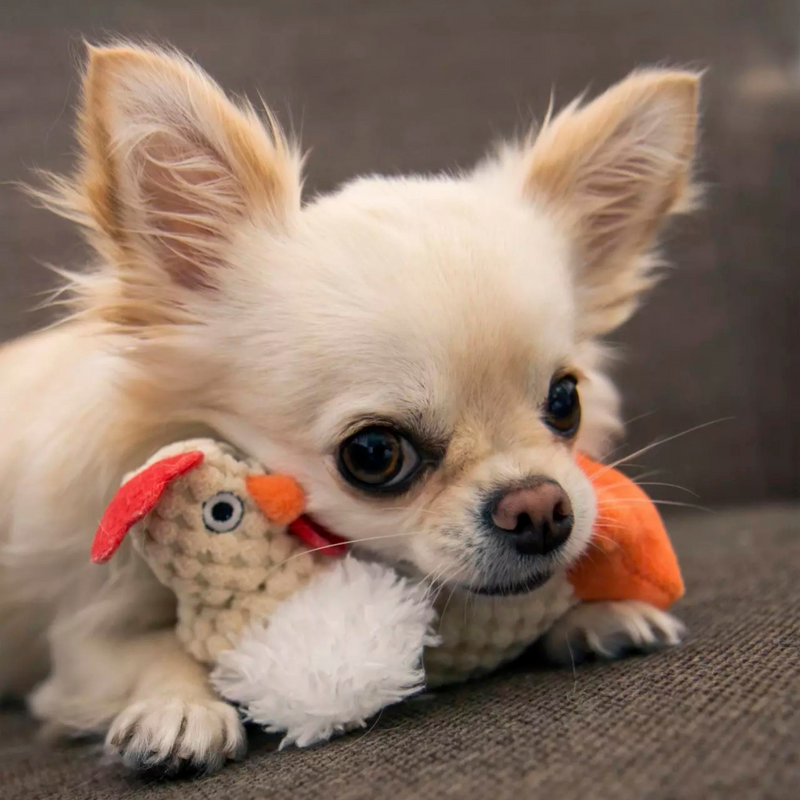 Mini Dog Toys - Just For Me - Sitting Cow