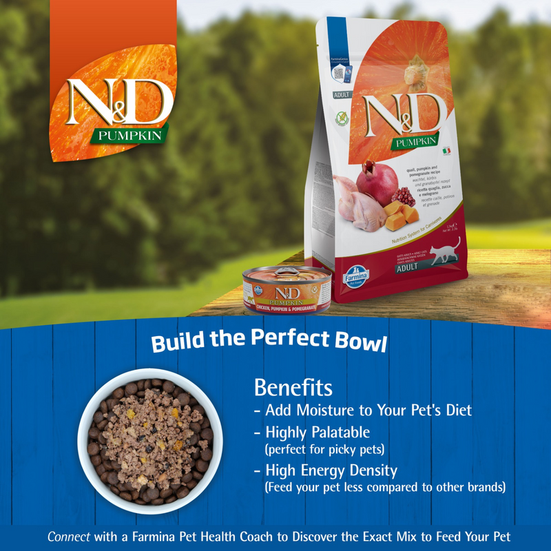 Nourriture pour chats en conserve - N&D - Pumpkin - poulet, citrouille et grenade - adulte - 2,5 oz