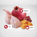 Canned Cat Food - N & D - PUMPKIN - Quail & Pumpkin - Adult