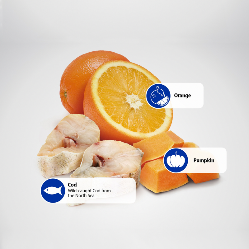 Dry Dog Food - N & D - OCEAN - Cod, Pumpkin & Orange - Adult Mini