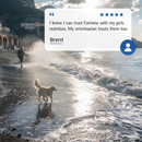 Canned Dog Food - N & D - OCEAN - Cod & Pumpkin - Adult