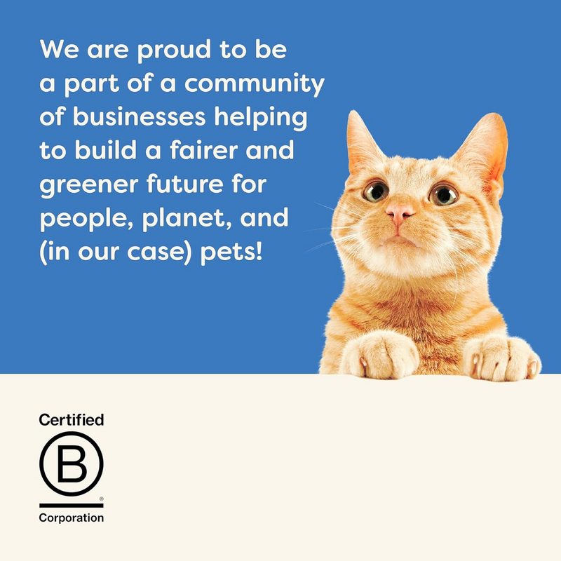 Canned Cat Treat - Tuna Fillet in Broth